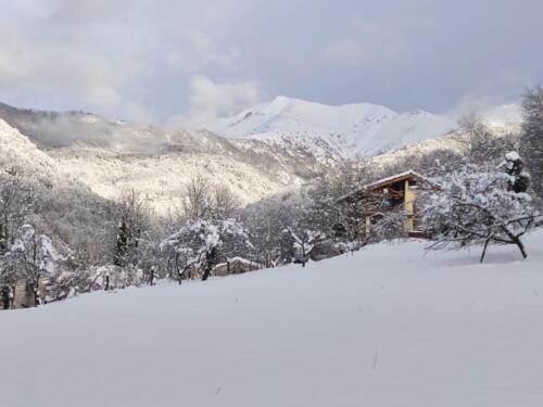 La strutture nel suo panorama